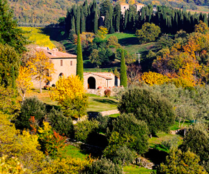 The Best Agritourism