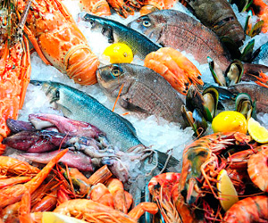 Fish Market in Versilia