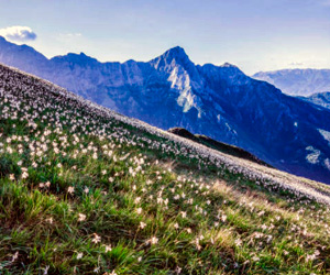 Trekking in Versilia